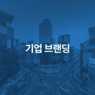 스카이즈코리아 포트폴리오 30